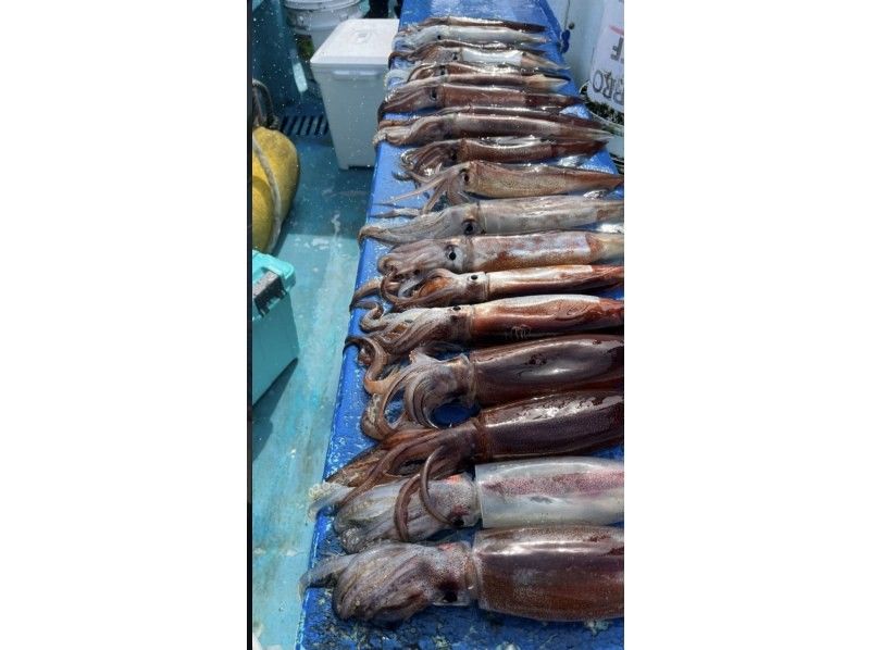 【千葉・勝浦】《八幡丸》イカの船釣り体験！初心者歓迎！乗合プランの紹介画像