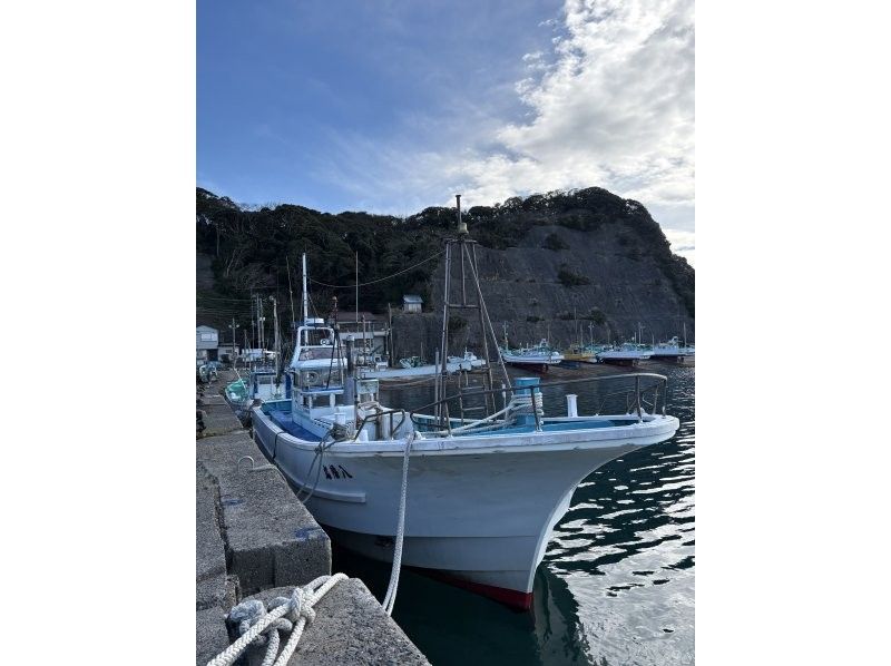 【千葉・勝浦】《八幡丸》イカの船釣り体験！初心者歓迎！乗合プランの紹介画像