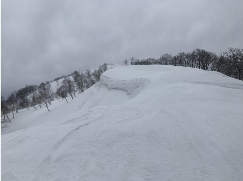 【長野県・JR飯山駅で集合】鍋倉山 1Day スノーシューハイキング ｜プライベートツアー ｜戸狩温泉 or 野沢温泉での集合も可の紹介画像
