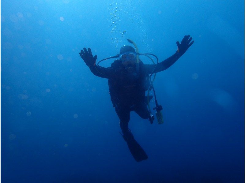 【静岡 伊豆高原】PADIオープンウォーターコース（ライセンス取得コース）の紹介画像