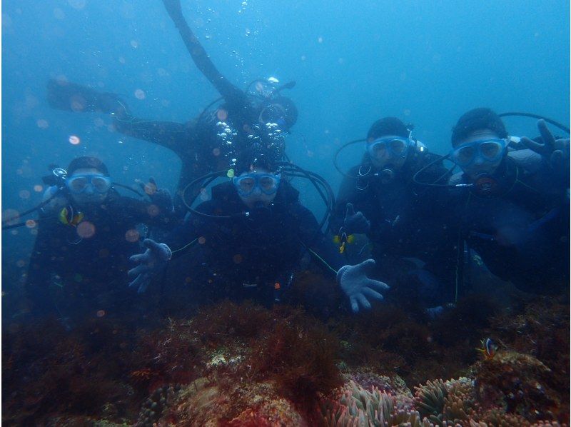 【静岡 伊豆高原】PADIオープンウォーターコース（ライセンス取得コース）の紹介画像