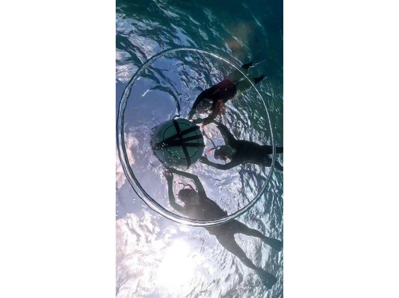 【宮古島】〈ウミガメ探索シュノーケリング〉【写真データ/レンタル無料】直前予約OK！の紹介画像