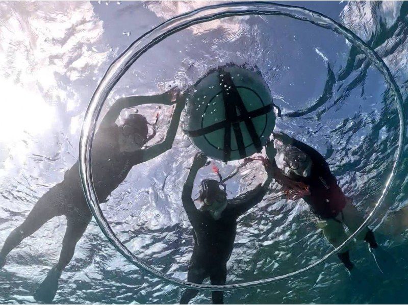 【宮古島】〈ウミガメ探索シュノーケリング〉【写真データ/レンタル無料】直前予約OK！の紹介画像