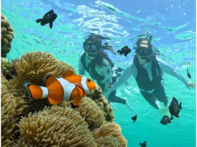 【宮古島】〈ウミガメ探索シュノーケリング〉【写真データ/レンタル無料】直前予約OK！の紹介画像