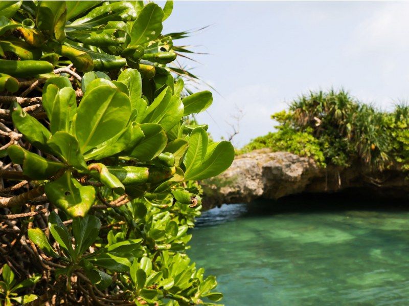 【宮古島】〈ピキャズSUPツアー〉パワースポット【写真データ/レンタル無料】直前予約OK！の紹介画像