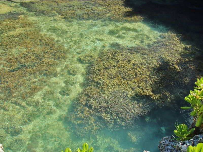 【宮古島】〈ピキャズSUPツアー〉パワースポット【写真データ/レンタル無料】直前予約OK！の紹介画像