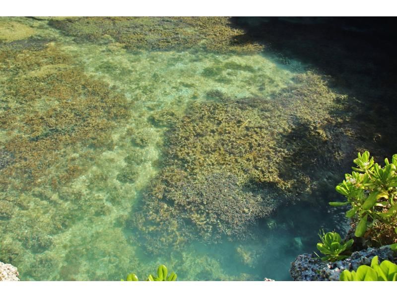 【宮古島】〈ピキャズカヤックツアー〉パワースポット【写真データ/レンタル無料】直前予約OK！の紹介画像