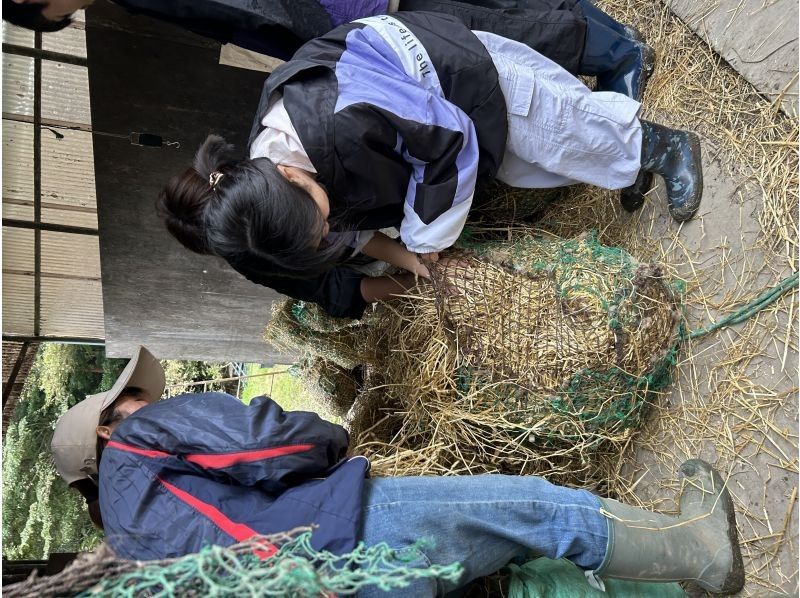 【宮城・奥松島】牧場体験プログラム　自然豊かな牧場で馬たちのお世話体験！の紹介画像