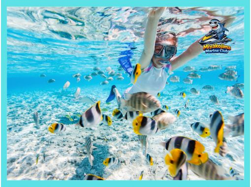 【宮古島・パイナガマビーチ】感動のシュノーケリング体験 【宮古島・パイナガマビーチ】感動のシュノーケリング体験