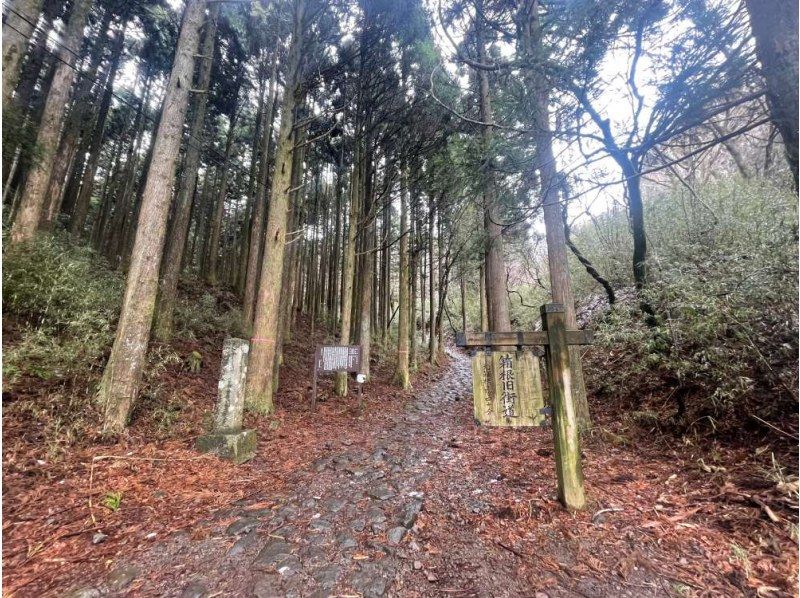 【神奈川・箱根】箱根旧街道 石畳と森を歩く歴史徒歩ツアーの紹介画像