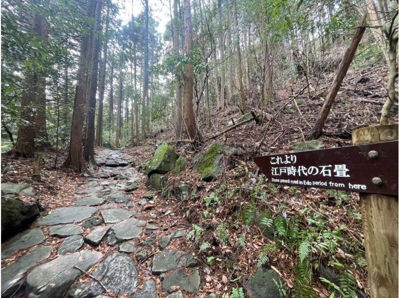 【神奈川・箱根】箱根旧街道 石畳と森を歩く歴史徒歩ツアーの紹介画像