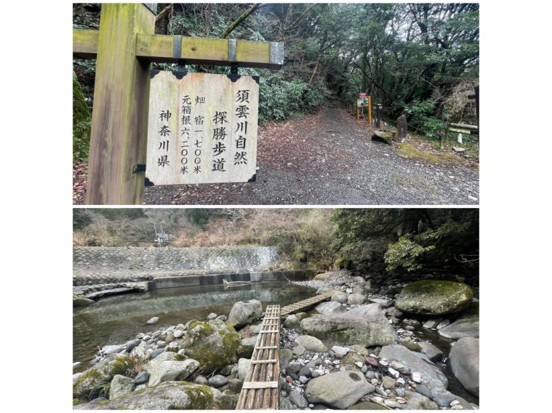 【神奈川・箱根】箱根旧街道 石畳と森を歩く歴史徒歩ツアーの紹介画像