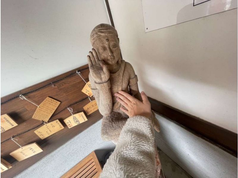 【神奈川・箱根】箱根旧街道 石畳と森を歩く歴史徒歩ツアーの紹介画像