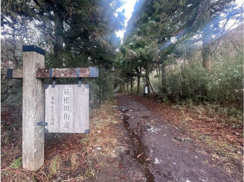 【神奈川・箱根】箱根旧街道 石畳と森を歩く歴史徒歩ツアーの紹介画像