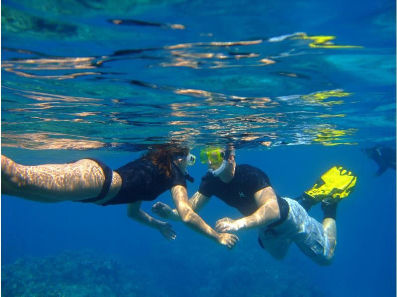 【那覇日帰り・ケラマ開催】ケラマ1日ボート体験ダイビング+スノーケリング　2ＤＩＶＥプランの紹介画像