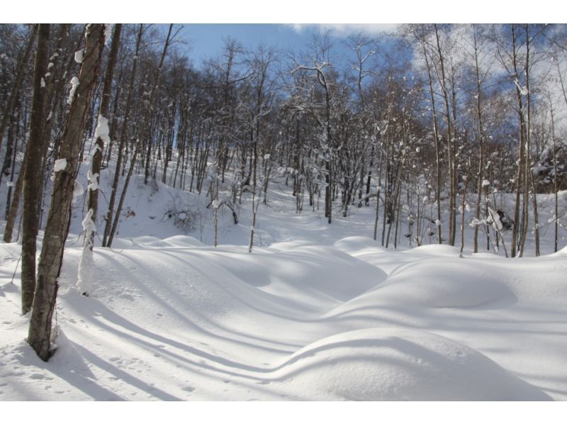 【北海道・豊浦町】プライベートパークでスノーシュー＆雪あそび体験〈NinjaSnowPark 1日2組限定 貸切〉の紹介画像