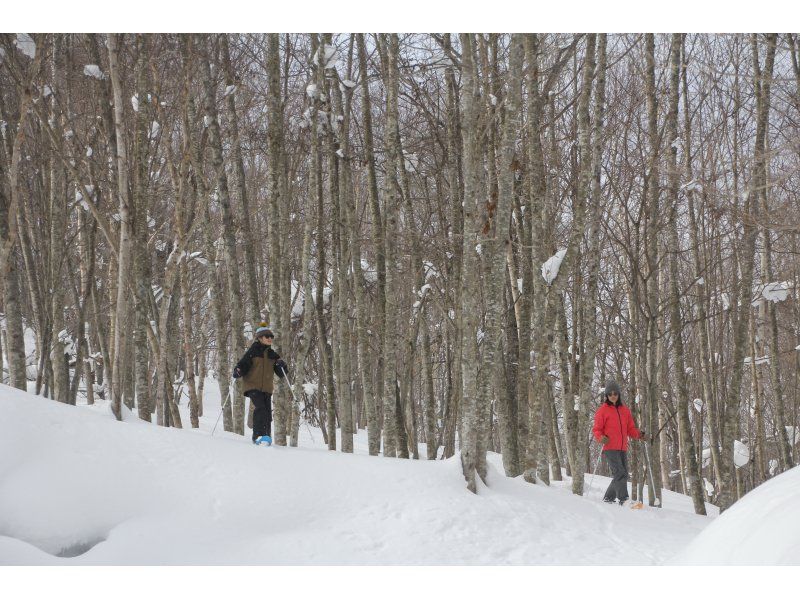 【北海道・豊浦町】プライベートパークでスノーシュー＆雪あそび体験〈NinjaSnowPark 1日2組限定 貸切〉の紹介画像