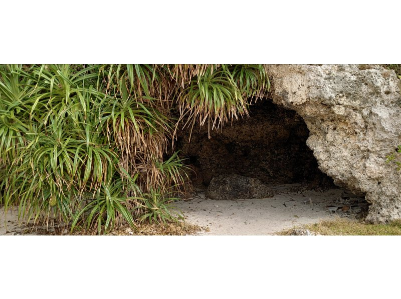 【名護市・今帰仁村・古宇利島】楽しさ3倍！バナナボート＆最新アクティビティ！現地でお好きな乗り物を３つ選べる大満足プラン！(Bプラン）の紹介画像