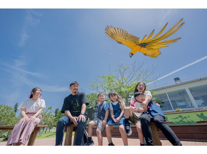 【那覇発/半日/AM便】★大人￥800もお得★ホエールウォッチング&東南植物楽園チケット付き！の紹介画像