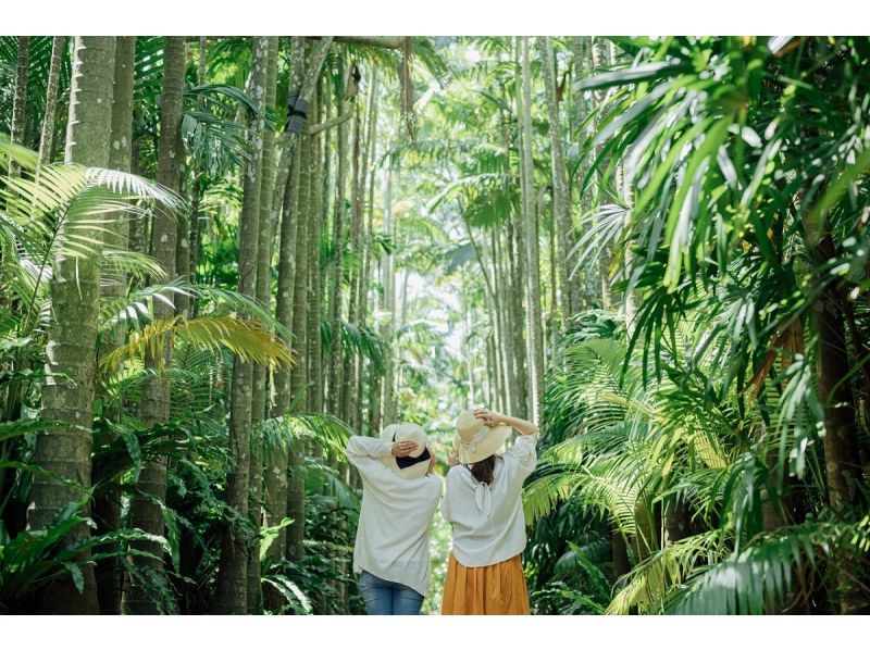 【那覇発/半日/PM便】★大人￥1,300もお得★ホエールウォッチング&東南植物楽園チケット付き！の紹介画像