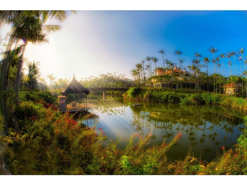 【那覇発/半日/PM便】★大人￥1,300もお得★ホエールウォッチング&東南植物楽園チケット付き！の紹介画像