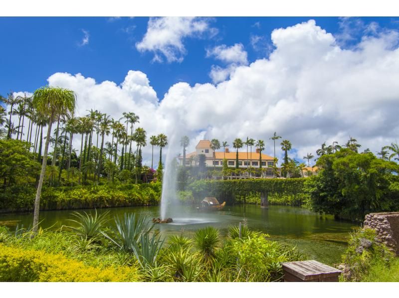 【那覇発/半日/PM便】★大人￥1,300もお得★ホエールウォッチング&東南植物楽園チケット付き！の紹介画像