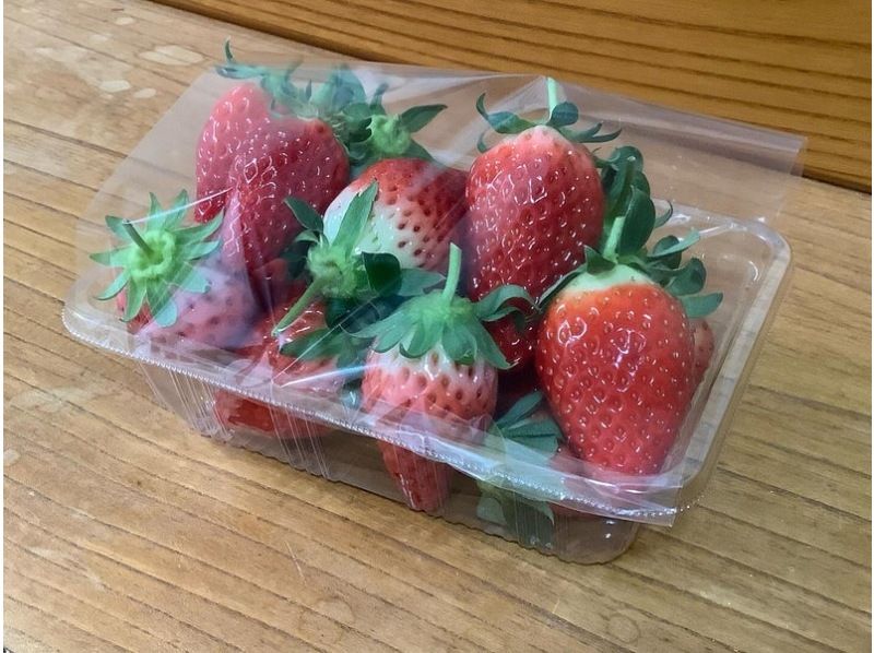 【鳥取県・湯梨浜町】日本のハワイで、闇夜のいちご摘み　五感で味わう、五感を刺激するいちご狩り「とっとりストロベリーナイト」の紹介画像