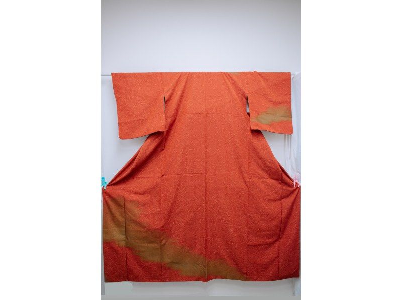 【京都・四条駅】訪問着レンタル1日プラン♪手ぶらで着物姿に変身の紹介画像