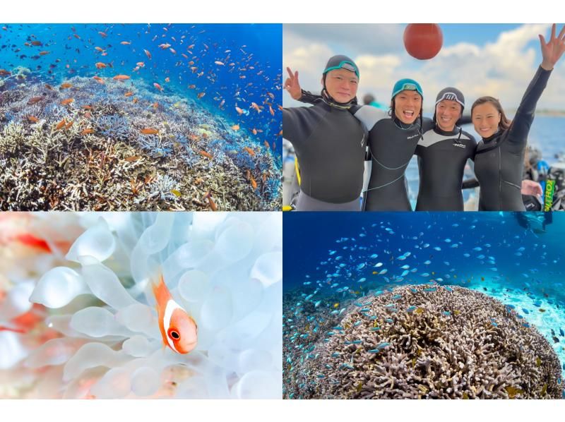 【沖縄・宮古島】地形もワイドもマクロも宮古島の海をまるごと楽しもう！ファンダイビング（３ダイブ/ライセンス必須）の紹介画像
