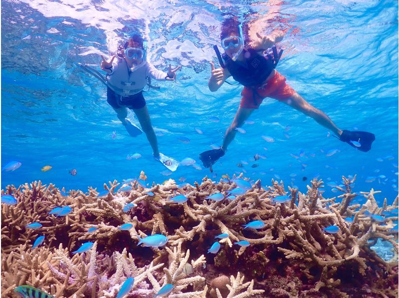 【沖縄・宮古島】八重干瀬ボートシュノーケリング☆OPEN記念により子供料金半額☆ドローン水中撮影無料プレゼント！の紹介画像