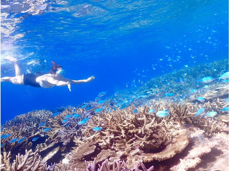 【沖縄・宮古島】八重干瀬ボートシュノーケリング☆OPEN記念により子供料金半額☆ドローン水中撮影無料プレゼント！の紹介画像