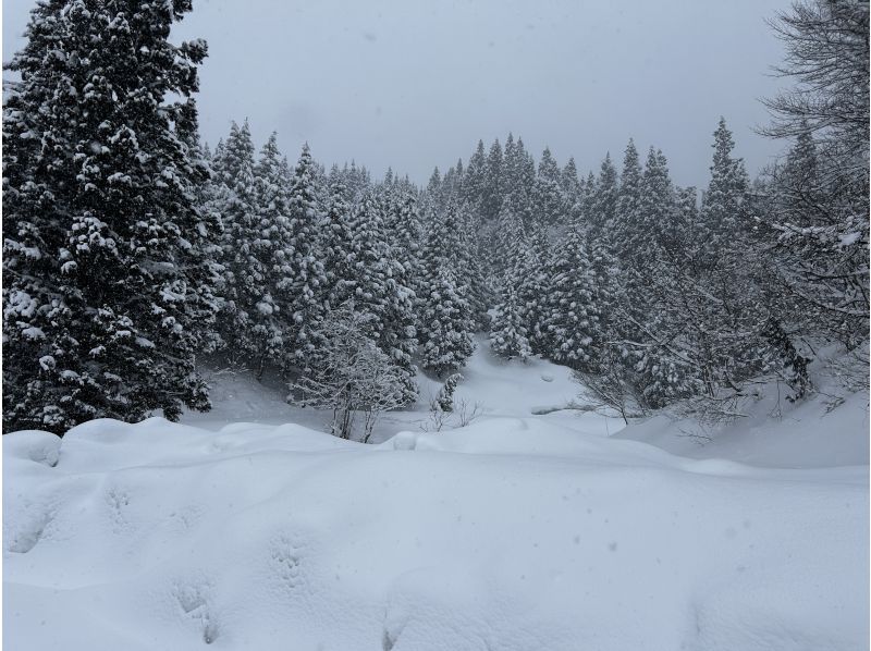 【秋田・羽後町】太平山スノートレッキング〜未踏の絶景と雪国の暮らしを味わう！の紹介画像