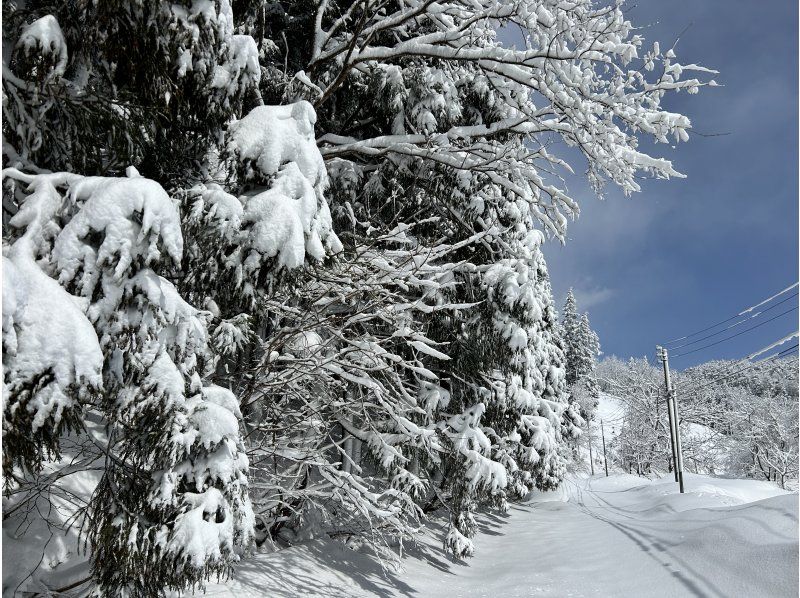 【秋田・羽後町】太平山スノートレッキング〜未踏の絶景と雪国の暮らしを味わう！の紹介画像