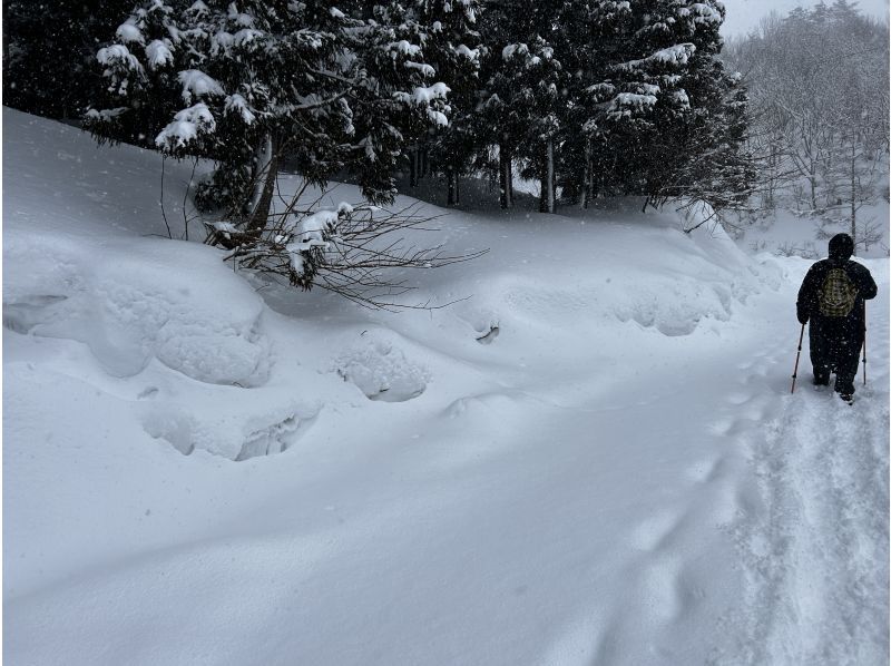 【秋田・羽後町】太平山スノートレッキング〜未踏の絶景と雪国の暮らしを味わう！の紹介画像