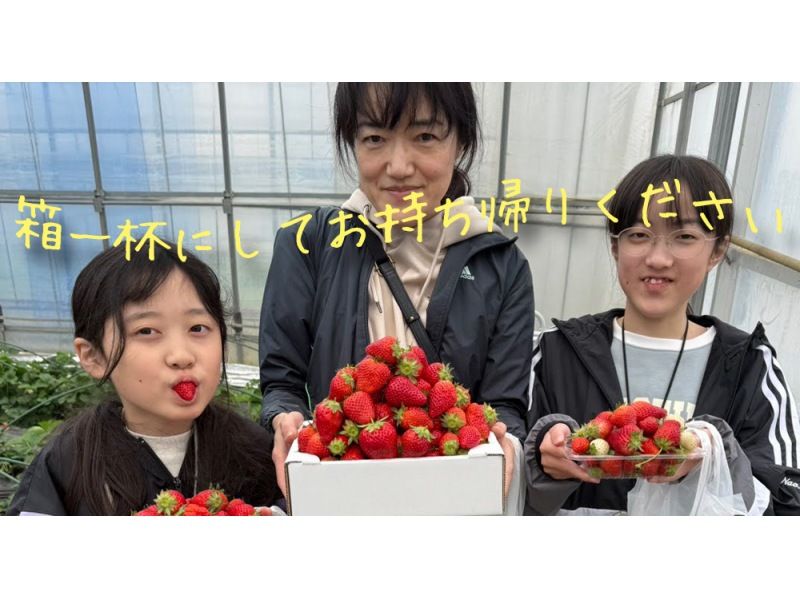【千葉・九十九里】イチゴ「ハウス丸ごと」食べ尽くし！5/16春野菜の薪焼と竈焚きご飯＆ 究極のいちご狩りツアー｜日帰りの紹介画像