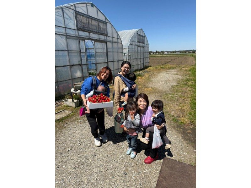 【千葉・九十九里】イチゴ「ハウス丸ごと」食べ尽くし！5/16春野菜の薪焼と竈焚きご飯＆ 究極のいちご狩りツアー｜日帰りの紹介画像