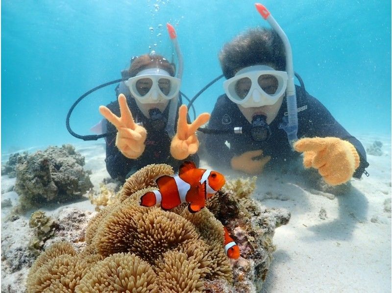 【半日｜石垣島｜体験ダイビング】 完全初心者向けライトプラン｜ボートクルーズ・8,500円の紹介画像