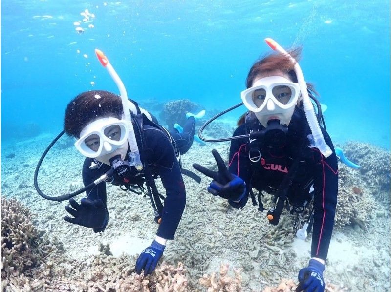 【半日｜石垣島｜体験ダイビング】 完全初心者向けライトプラン｜ボートクルーズ・8,500円の紹介画像