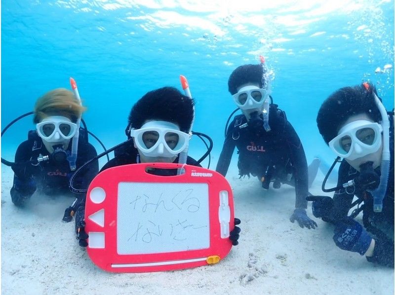 【半日｜石垣島｜体験ダイビング】 完全初心者向けライトプラン｜ボートクルーズ・8,500円の紹介画像