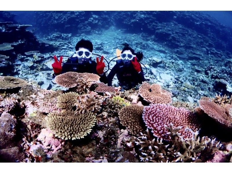 【半日｜石垣島｜体験ダイビング】 完全初心者向けライトプラン｜ボートクルーズ・8,500円の紹介画像