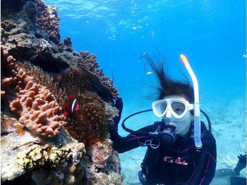 【半日｜石垣島｜体験ダイビング】 完全初心者向けライトプラン｜ボートクルーズ・8,500円の紹介画像