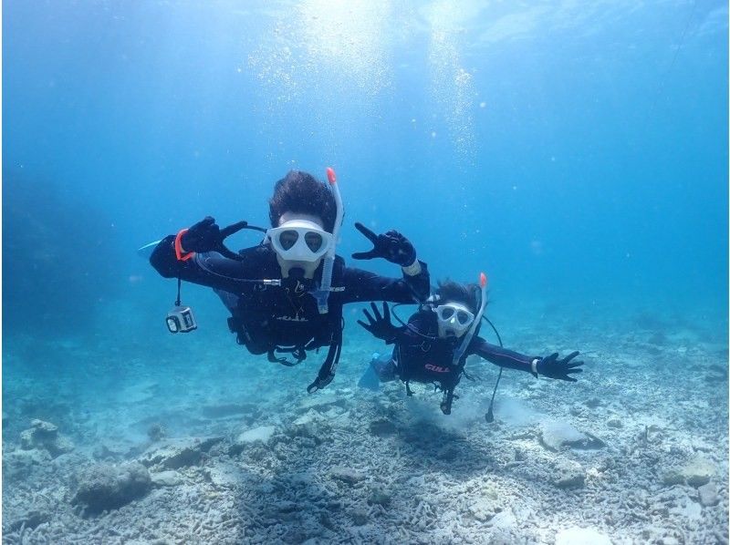 【半日｜石垣島｜体験ダイビング】 完全初心者向けライトプラン｜ボートクルーズ・8,500円の紹介画像