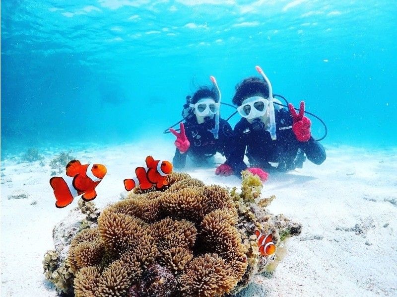 【半日｜石垣島｜体験ダイビング】 完全初心者向けライトプラン｜ボートクルーズ・8,500円の紹介画像