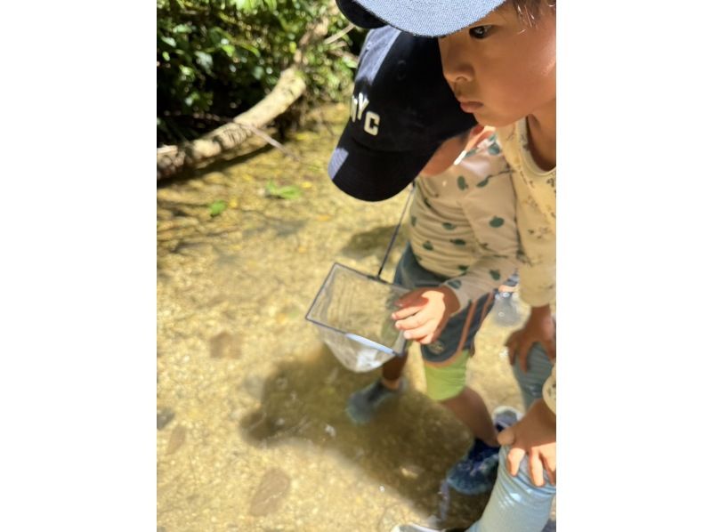 【沖縄・本島北部（やんばる）】癒しの滝でジャングルレッキング｜家族・カップルにおすすめ♪【ライフジャケット・マリンシューズ無料レンタル】の紹介画像