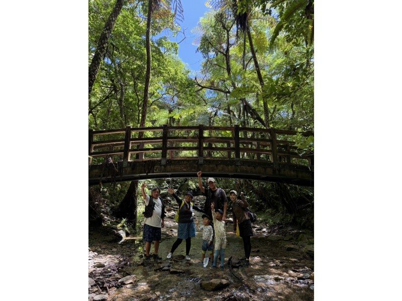 【沖縄・本島北部（やんばる）】癒しの滝でジャングルレッキング｜家族・カップルにおすすめ♪【ライフジャケット・マリンシューズ無料レンタル】の紹介画像