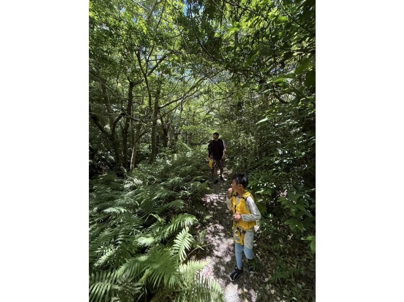 【沖縄・本島北部（やんばる）】癒しの滝でジャングルレッキング｜家族・カップルにおすすめ♪【ライフジャケット・マリンシューズ無料レンタル】の紹介画像