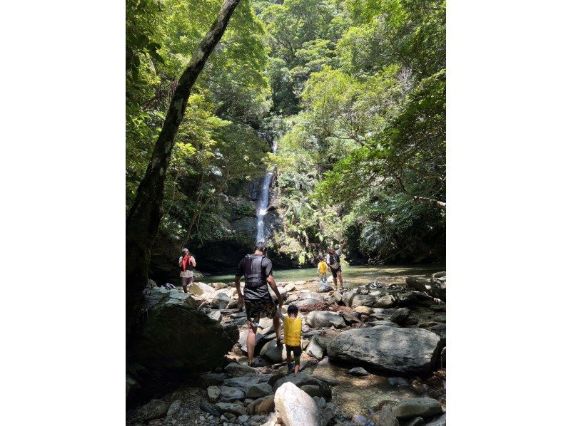 【沖縄・本島北部（やんばる）】癒しの滝でジャングルレッキング｜家族・カップルにおすすめ♪【ライフジャケット・マリンシューズ無料レンタル】の紹介画像