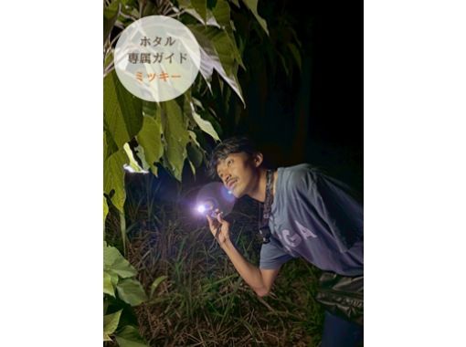 【西表島】ヤエヤマボタル鑑賞コース 【西表島】ヤエヤマボタル鑑賞コース