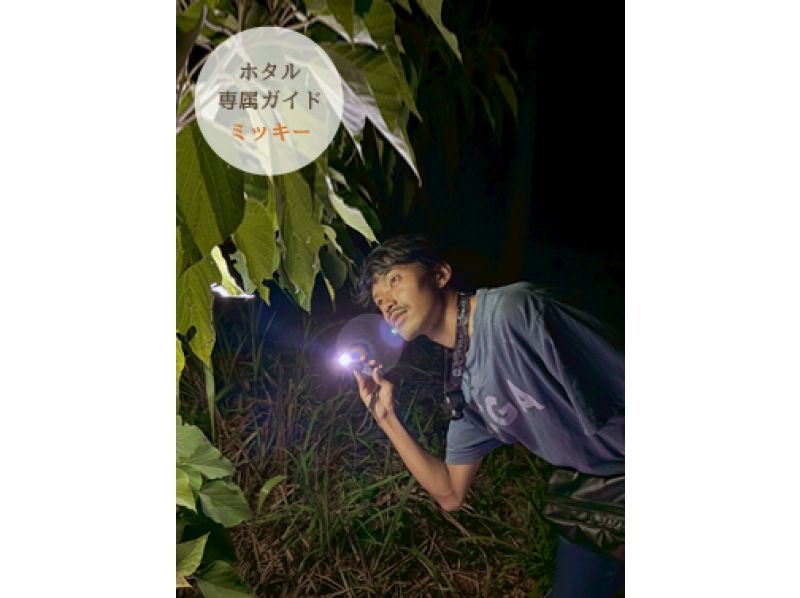 【西表島】ヤエヤマボタル鑑賞コースの紹介画像