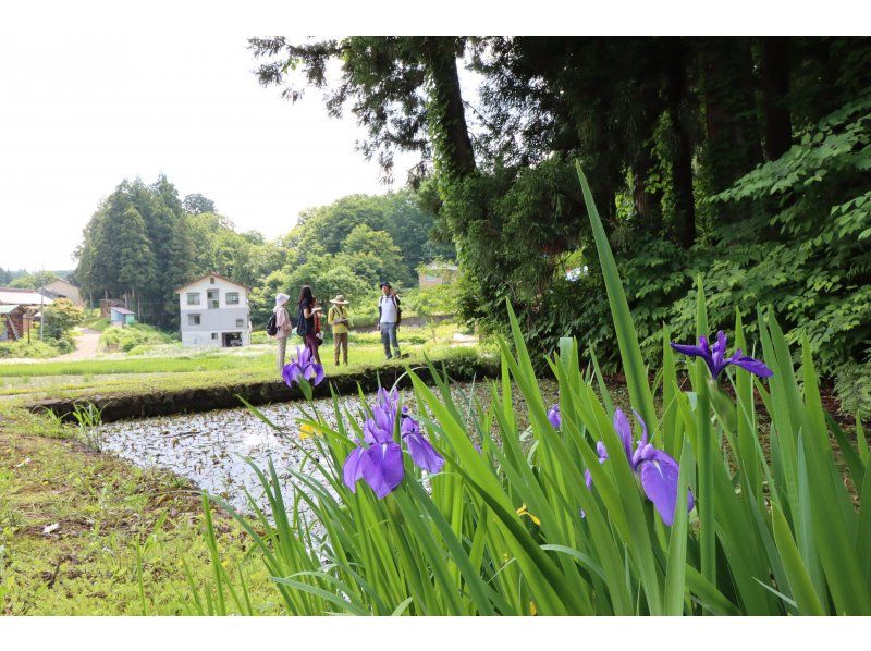 十日町里山ウォーキング　儀明・蒲生の棚田コースの紹介画像
